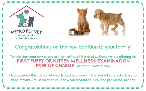 Puppy Coupon Puppy Coupon
